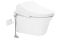Cygnet Square HygieneRimless Close Coupled Back to Wall Bottom Inlet Suite with Spalet E-Bidet Seat