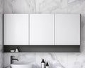 Timberline Sanremo Shaving Cabinet
