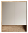 Cassa Design Cicero 600mm Shaving Cabinet