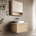 Cassa Design Cicero 750mm Wall Hung Vanity
