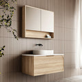 Cassa Design Cicero 900mm Wall Hung Vanity