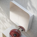 Cassa Design Rec 750x750mm Shaving Cabinet