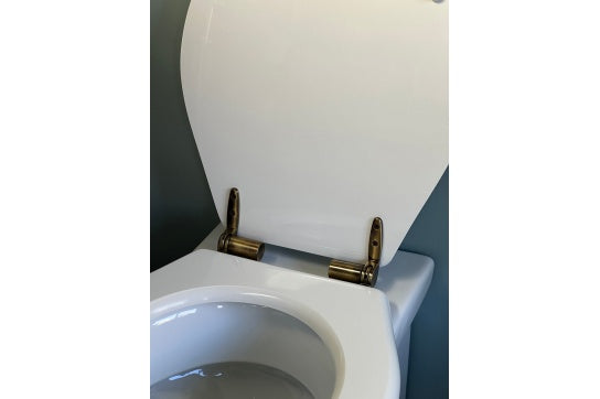 Claremont White Soft Close Toilet Seat - Antique Brass Hinges