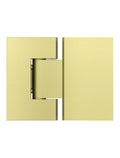 GLASS TO GLASS SHOWER DOOR HINGE