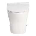 Signature Hygiene Rim Back to Wall Pan