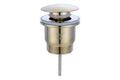 Universal 32/40mm Two Piece Mushroom brass Pop-up Waste - Brushed Brass