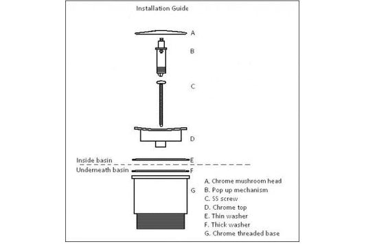 Universal 32/40mm Two Piece Mushroom brass Pop-up Waste - Brushed Brass