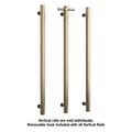 VSH900HBB Brushed Brass 240Volt Vertical Single Heated Rail